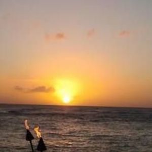 Meet your Posher, Faith